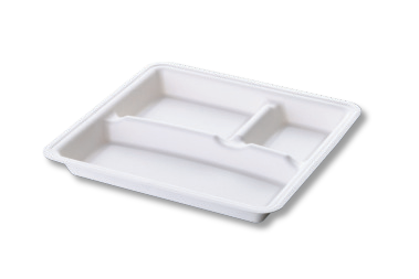 10" 3CP SQUARE CLASSI BIO 10" 3CP SQUARE CLASSI BIO
