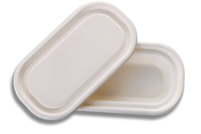 500 ML OVAL CONTAINER LID CLASSI BIO 500 ML OVAL CONTAINER LID CLASSI BIO