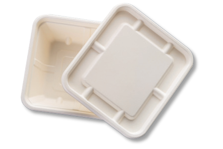 750 ML RECTANGULAR CONTAINER CLASSI BIO 750 ML RECTANGULAR CONTAINER CLASSI BIO